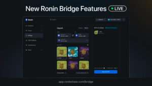 Ronin bridge